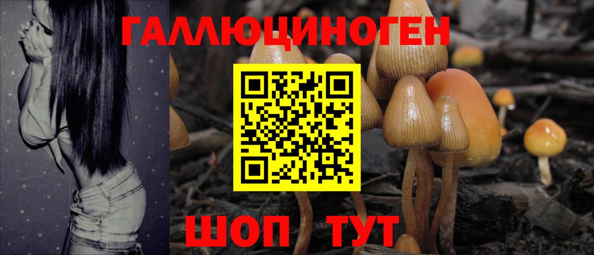 Псилоцибиновые грибы мухоморы  Псилоцибиновые грибы Psilocybe  Кулебаки  Вход с VPN 